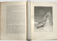 Drzeworytowa ilustracja Edmunda Bartłomiejczyka w wytwornym wydaniu „Popiołów” Stefana Żeromskiego, wydanym nakładem Jakuba Morkowicza w 1928 r.