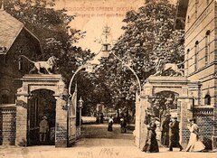Dawne główne wejście do ogrodu zoologicznego od strony dzisiejszej ul. Wroblewskiego (pocztówka, 1900-1910)