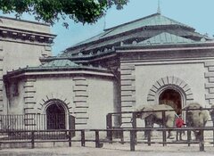 Słoniarnia, (ok. 1905)