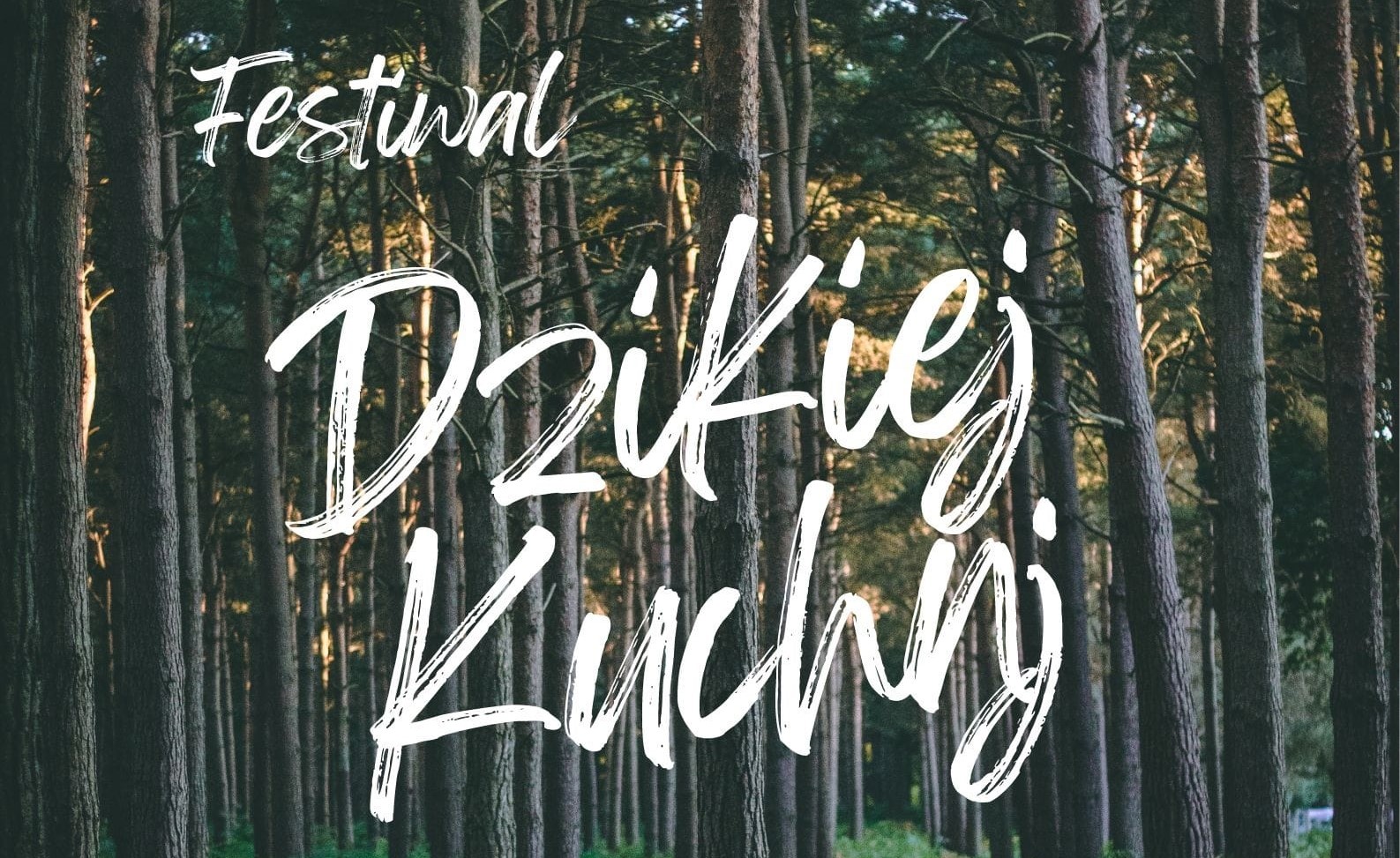 431057803 726419909673703 9062839152980988274 n