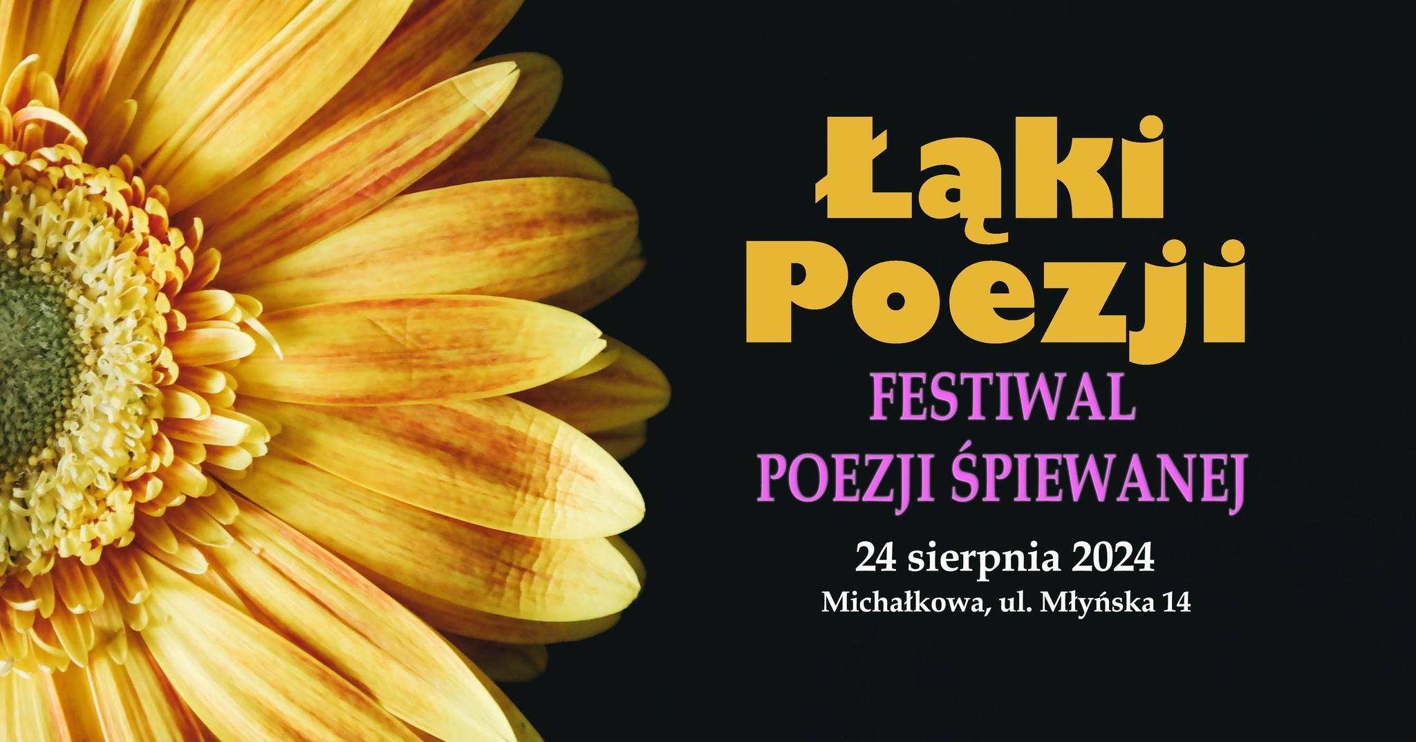 448956593 449487821166613 6535624066626309534 n