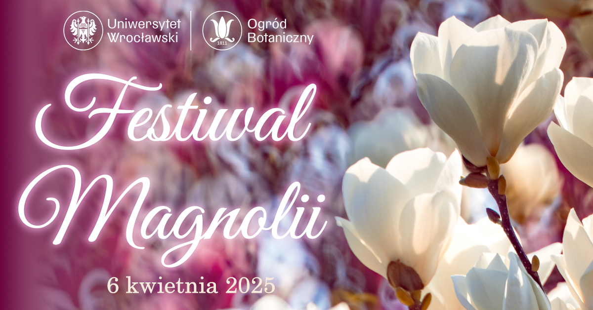 484287527 679225764436925 6777742198146512385 n