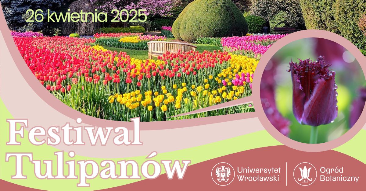 486058384 684357950590373 3937295443478008552 n