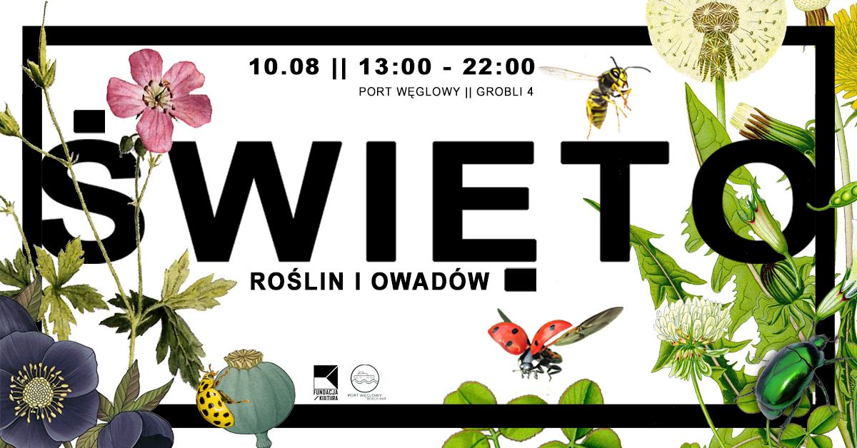 453152722 1072557324722136 6520754146427939253 n